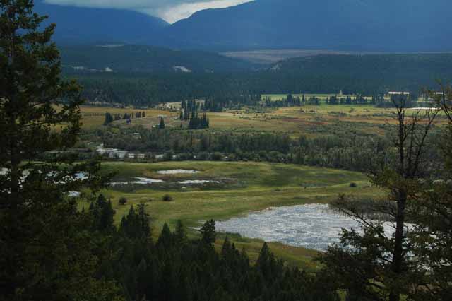 the Columbia wetlands
